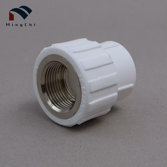 Zhuji PPR パイプ継手材料 PPR 真鍮インサートメス Thearded ソケットアダプター家庭用